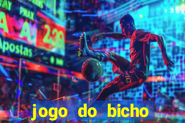 jogo do bicho crash bingo